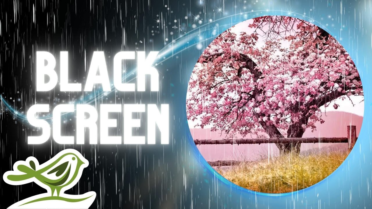 [NO ADS] Our Journey | Soft Rain Sounds & Relaxing Piano Music for Sleep with Black Screen