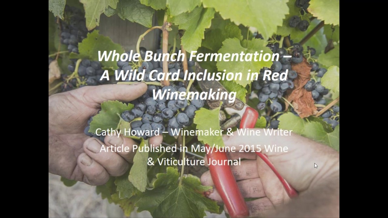 Whole bunch fermentation (AWRI webinar recording)