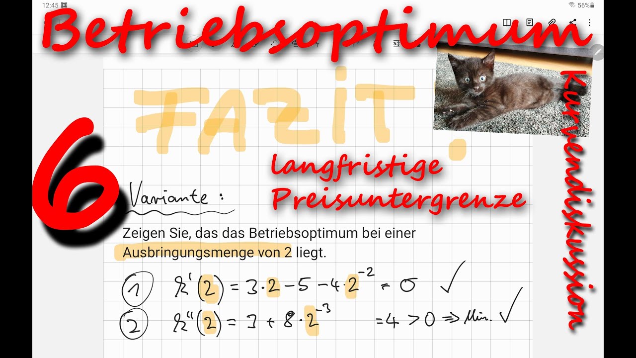 Betriebsoptimum BO / langfristige Preisuntergrenze - Kurvendiskussion Ökonomisch Teil 6