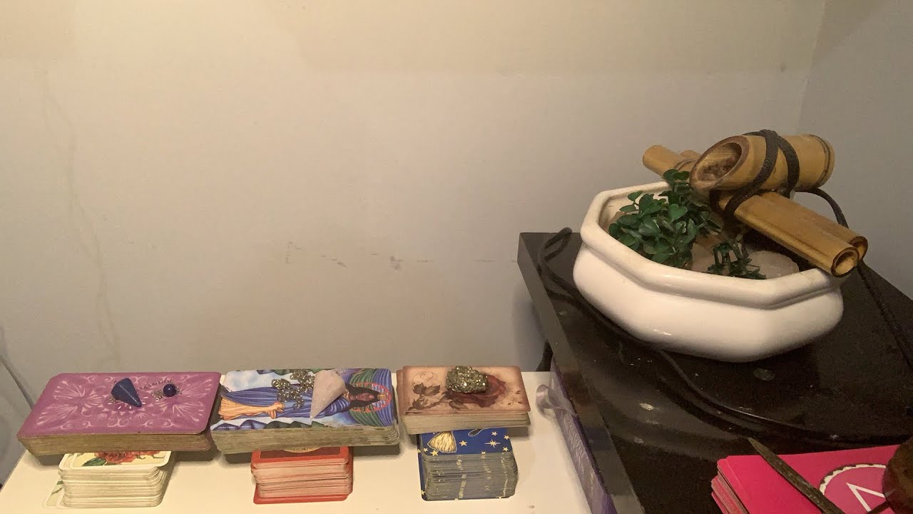 Estou decidido(a) a não insistir mais nessa situação, como essa pessoa irá reagir + bônus