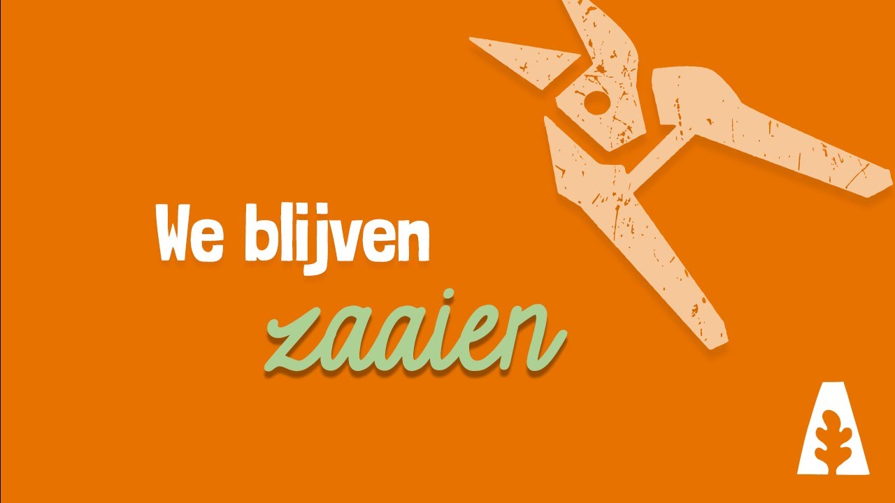 Stadstuinieren - Zaaien in juli #moestuin