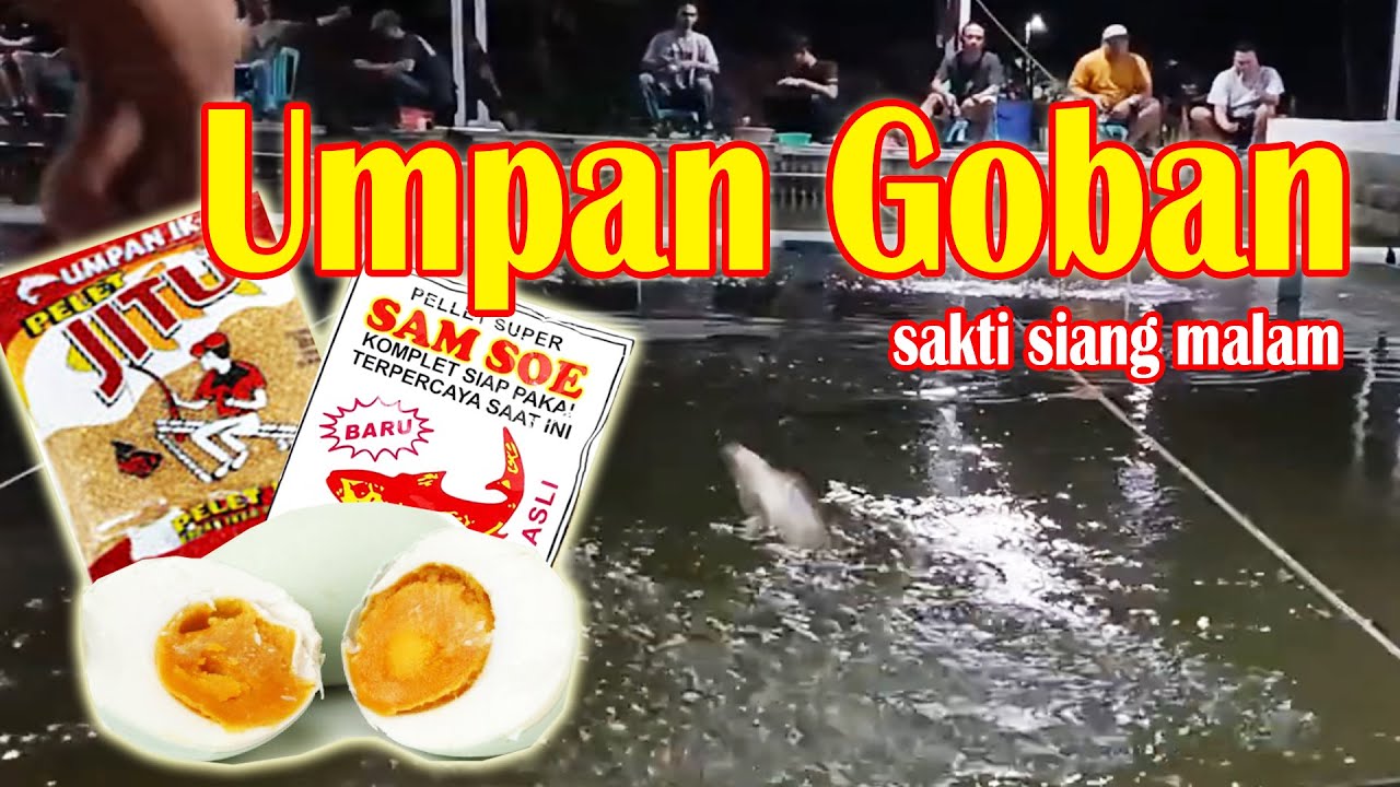 Umpan jitu ikan mas malam hari‼️murah meriah cuma 20 ribuan‼️Dijamin gacor