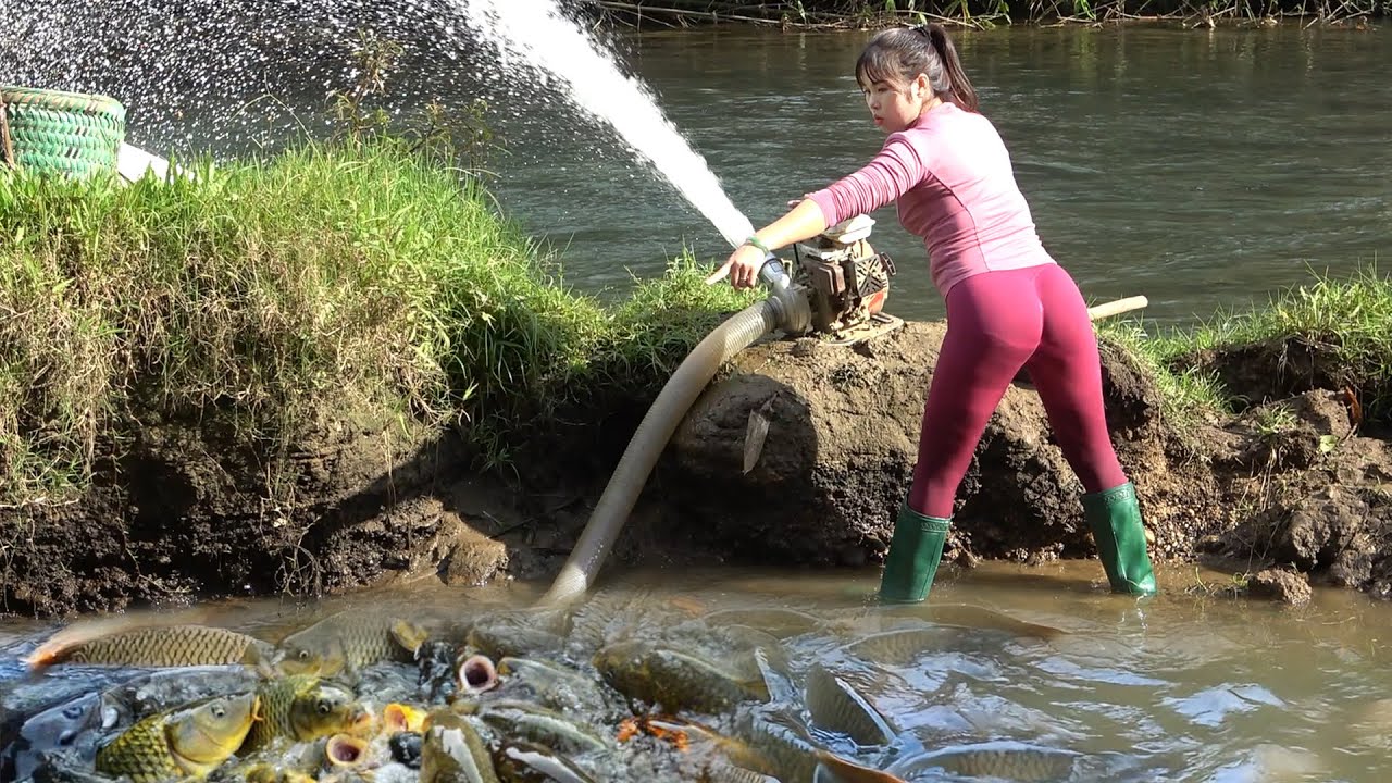 Excellent Fishing Skills: The Girl Pumping Water Outside The Natural Lake, Catch A Lot Of Big Fish