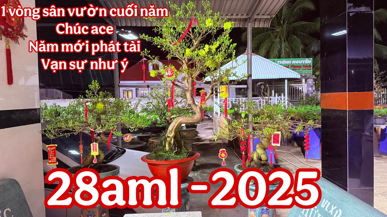 vườn bonsai cuối năm 2025 ( chúc mừng năm mới làm ăn phát tài )