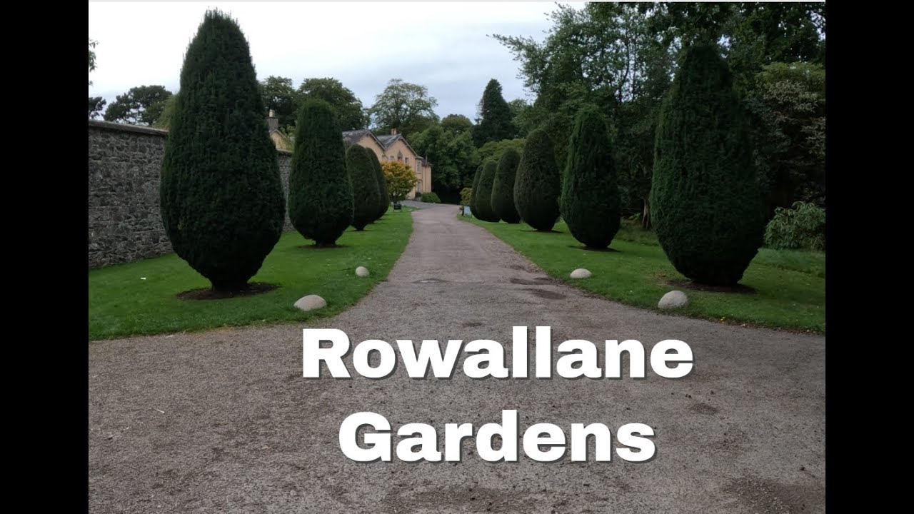 Rowallane Gardens: Flowers, Nature, Beautiful, Walks, National trust
