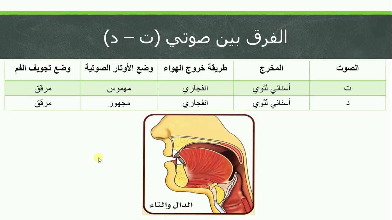علم الأصوات | الأصوات الانفجارية | ح5