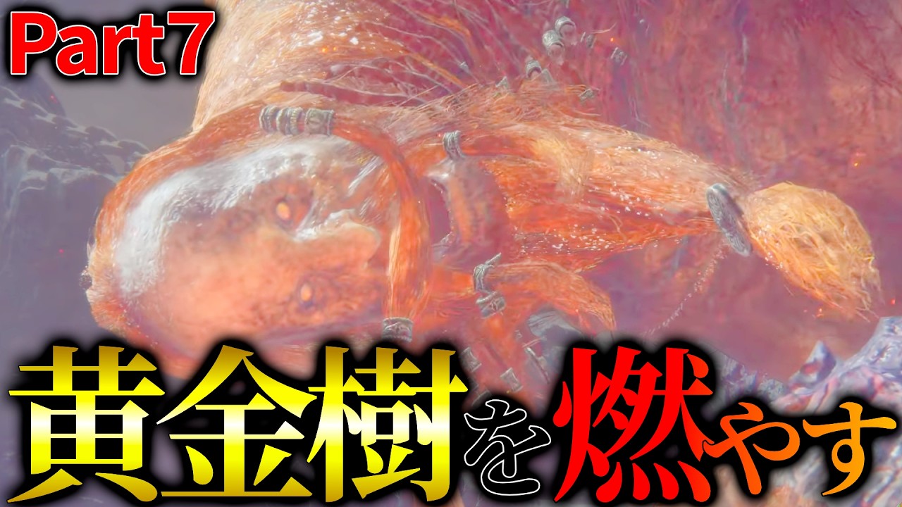 もう終盤来てる？！？！？！ part7【エルデンリング】
