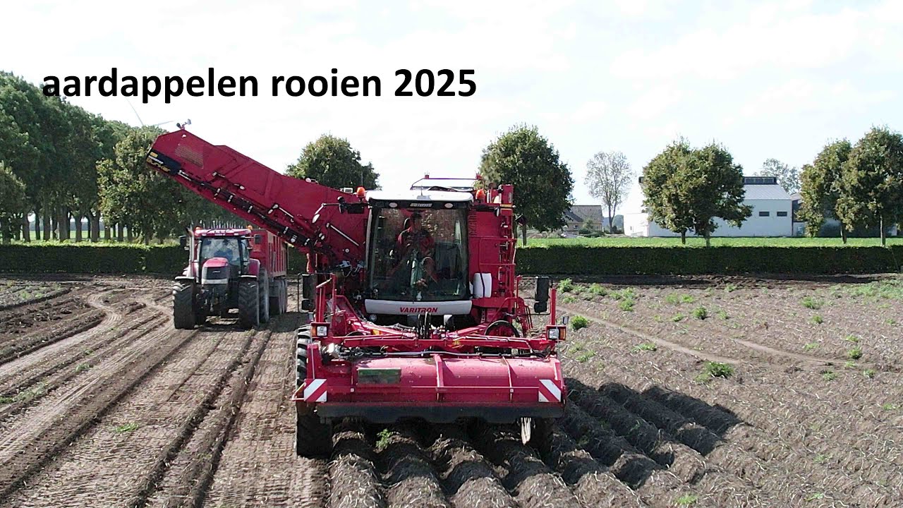 aardappelen rooien 2025