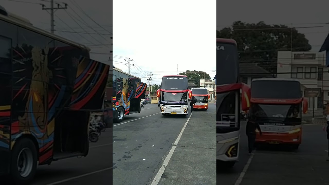 luxury buses, many choices  #bus #automobile #shortvideo