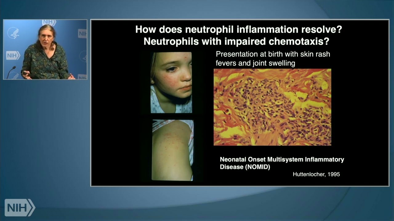 Imaging Inflammation Resolution and Wound Repair