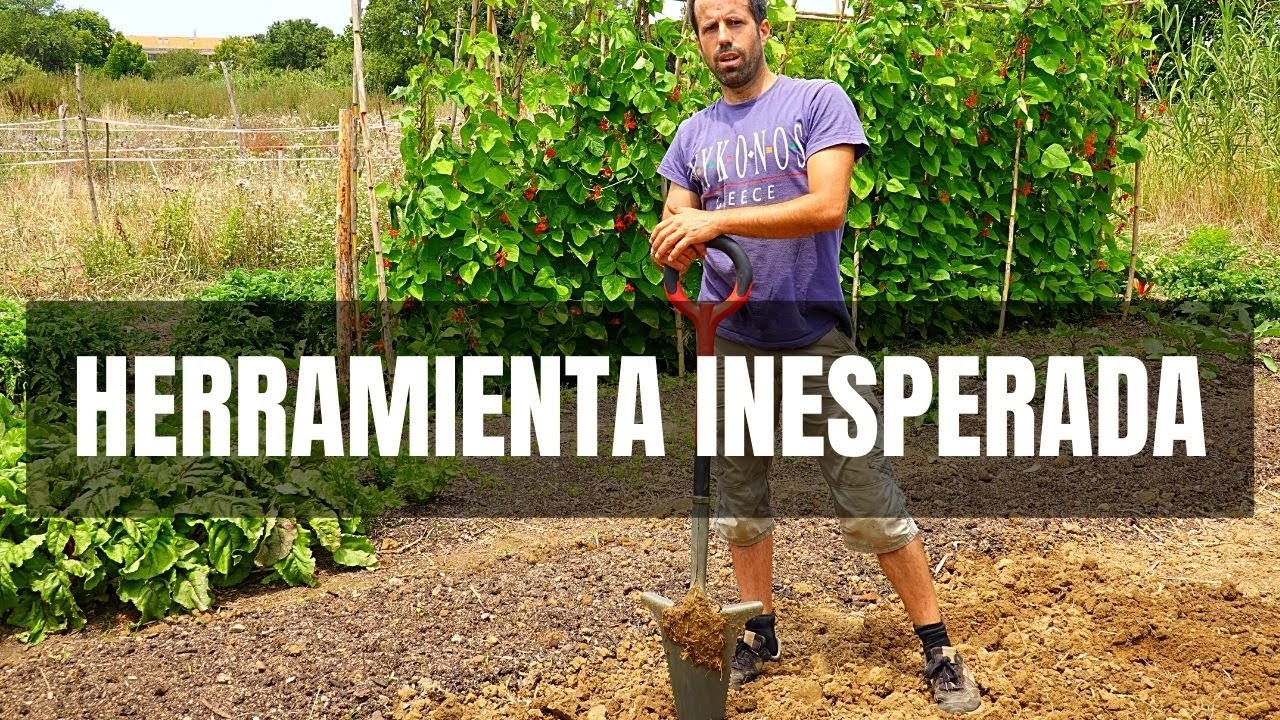 Pala de raíces: Una herramienta inesperada