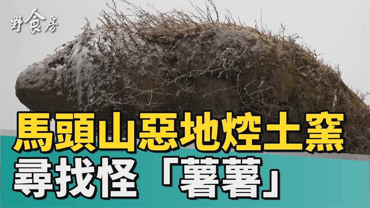 野食房｜惡地焢土窯 尋找馬頭山的怪「薯薯」