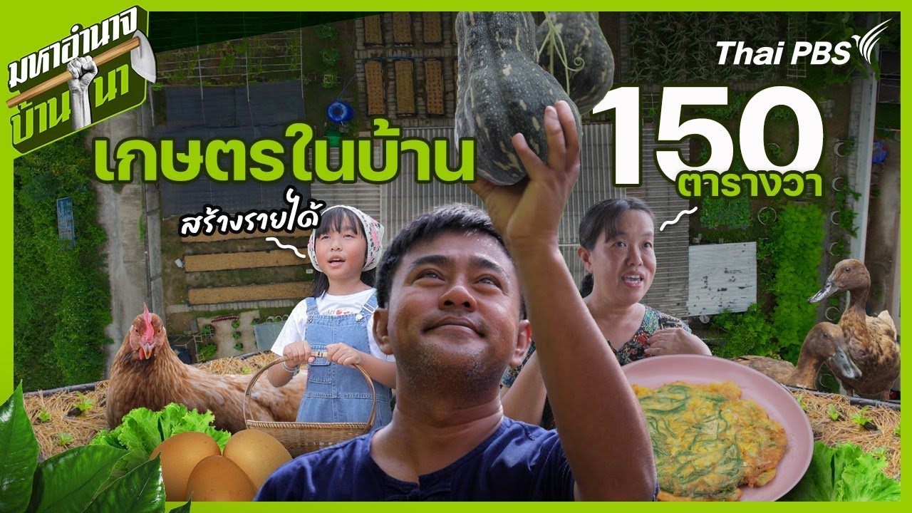 เกษตรในบ้าน 150 ตารางวา สร้างรายได้ | มหาอำนาจบ้านนา