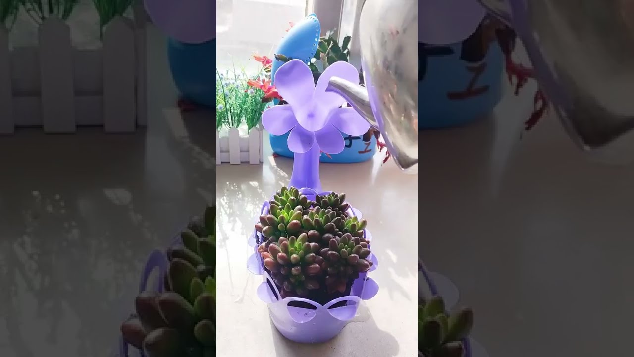 Make flower pots from laundry detergent bottles | Ep9