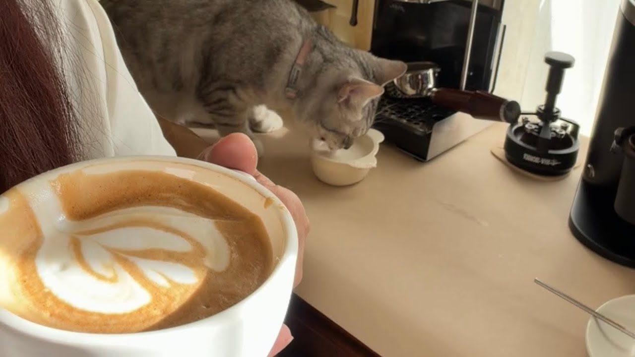 This Moment｜Coffee-