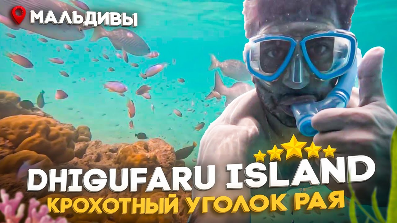 Dhigufaru Island 5* Мальдивы I  Босоногая классика с белым песком и бирюзовым океаном