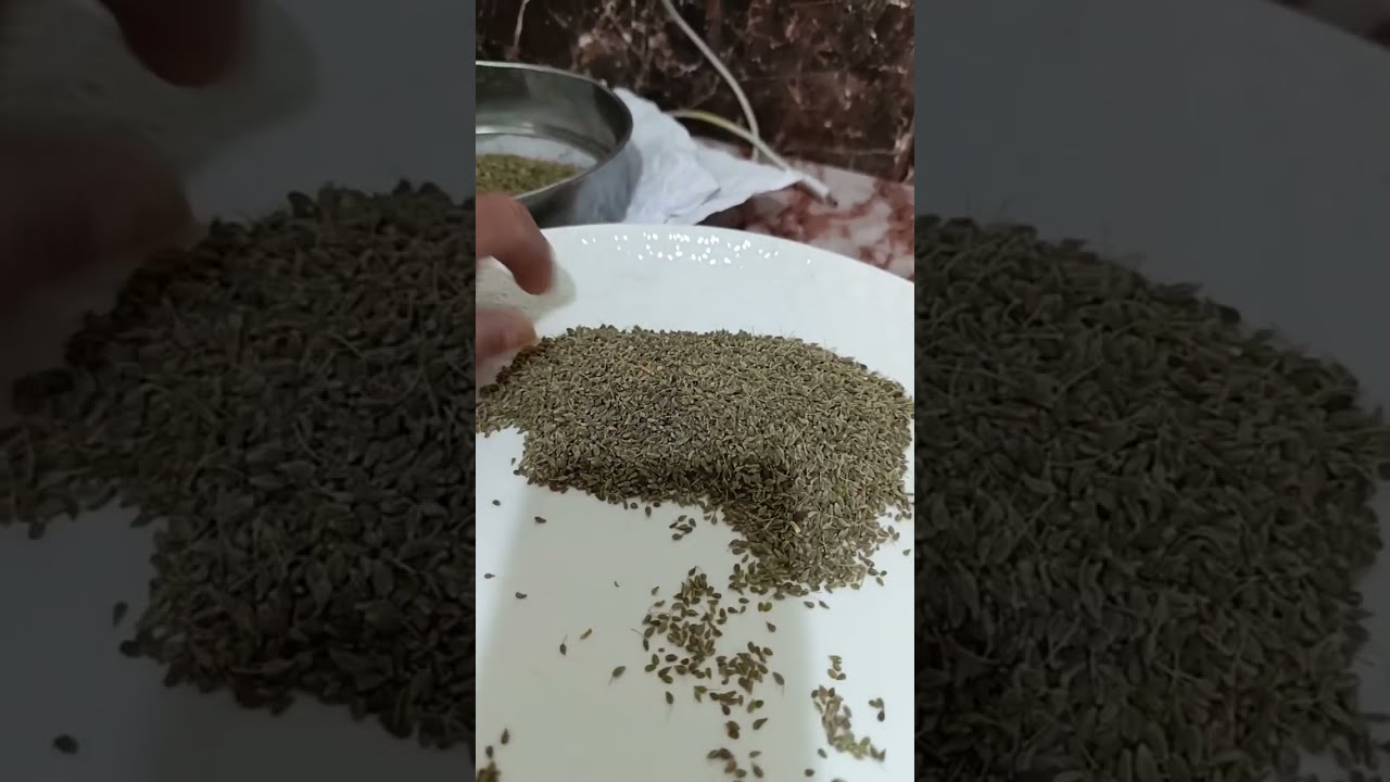 بدأت قناة 