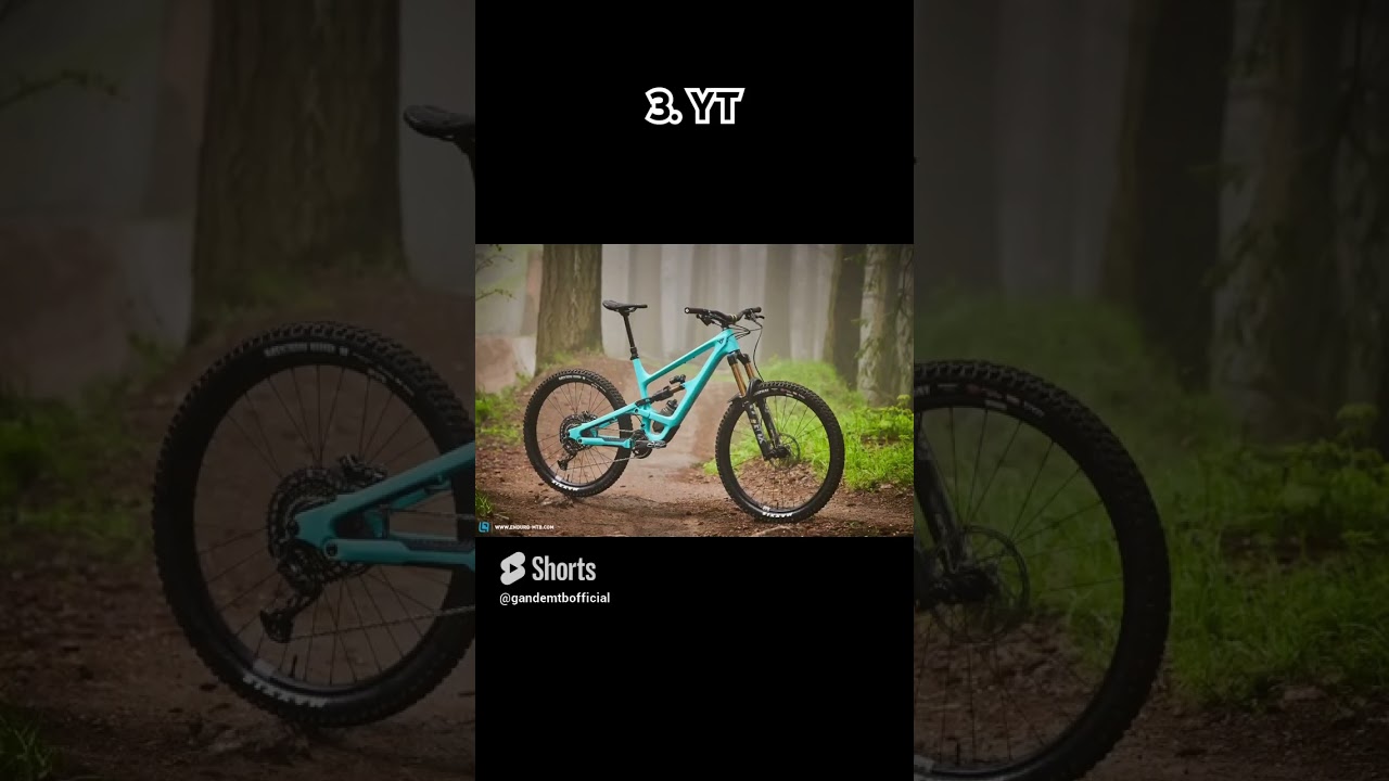 Best MTB brands