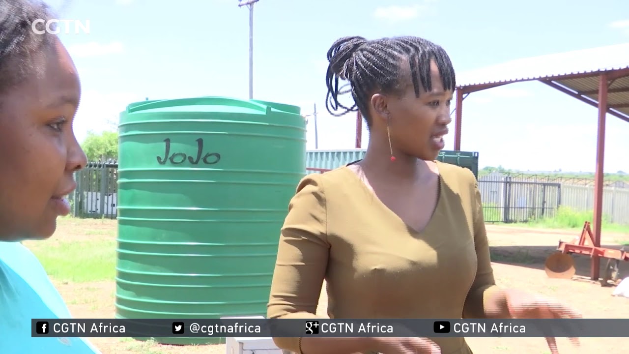 South African woman carves niche in chilli business