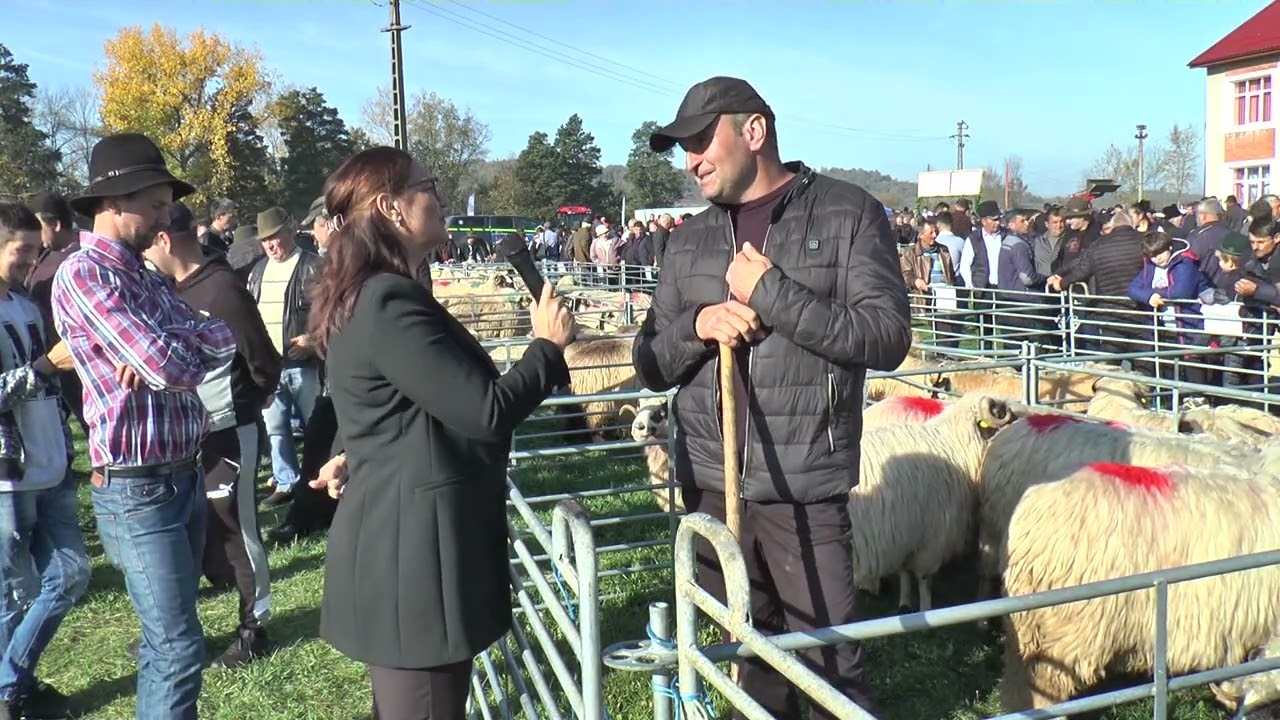 EXPOZIȚIE DE OVINE LA CARANSEBES - prima ediție