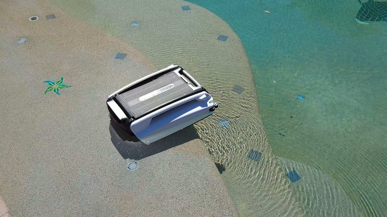 Our Betta Pool Skimmer got stuck again so we...