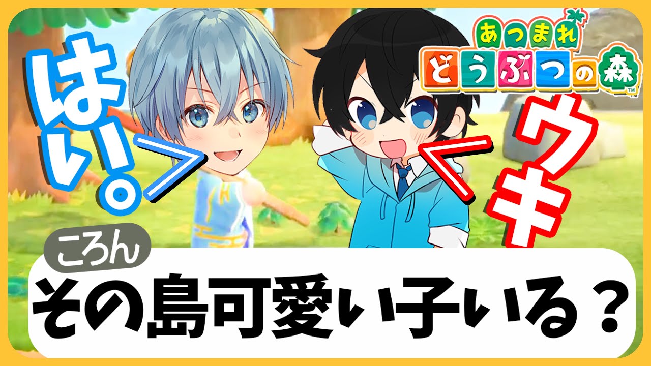 あつ森 離島ツアーで黒髪ころんに出会いました。【ころん】あつまれどうぶつの森
