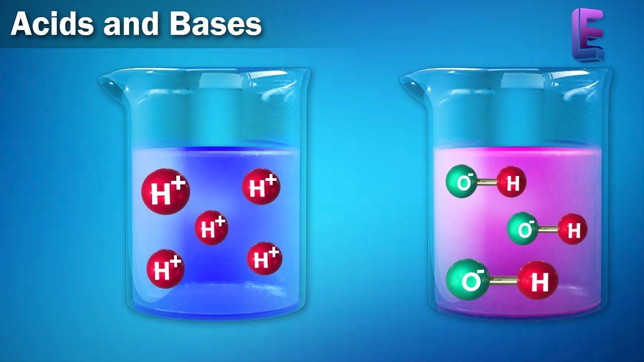 Acids and Bases | Chemical Equilibrium | CBSE | Class 11 Chemistry by Elearnin