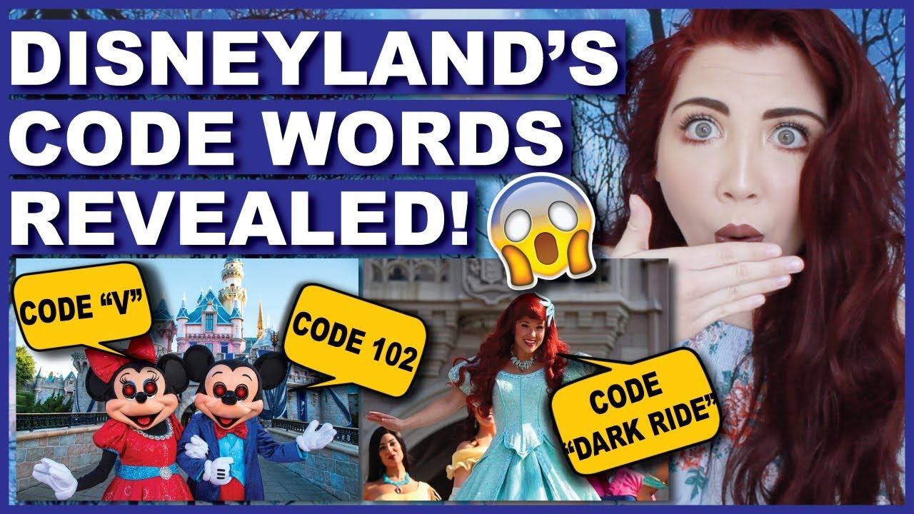 Disneyland's SECRET Code Words Revealed!