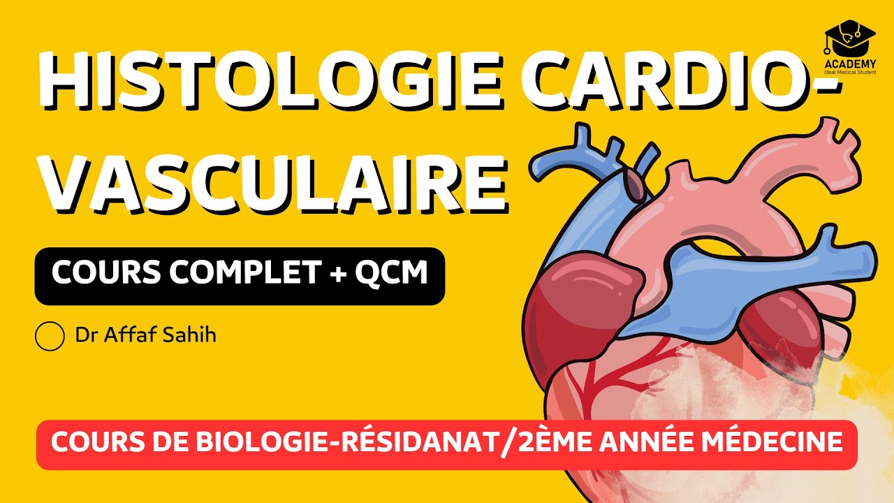 Histologie de l'appareil cardio-vasculaire : cœur , capillaires , artères