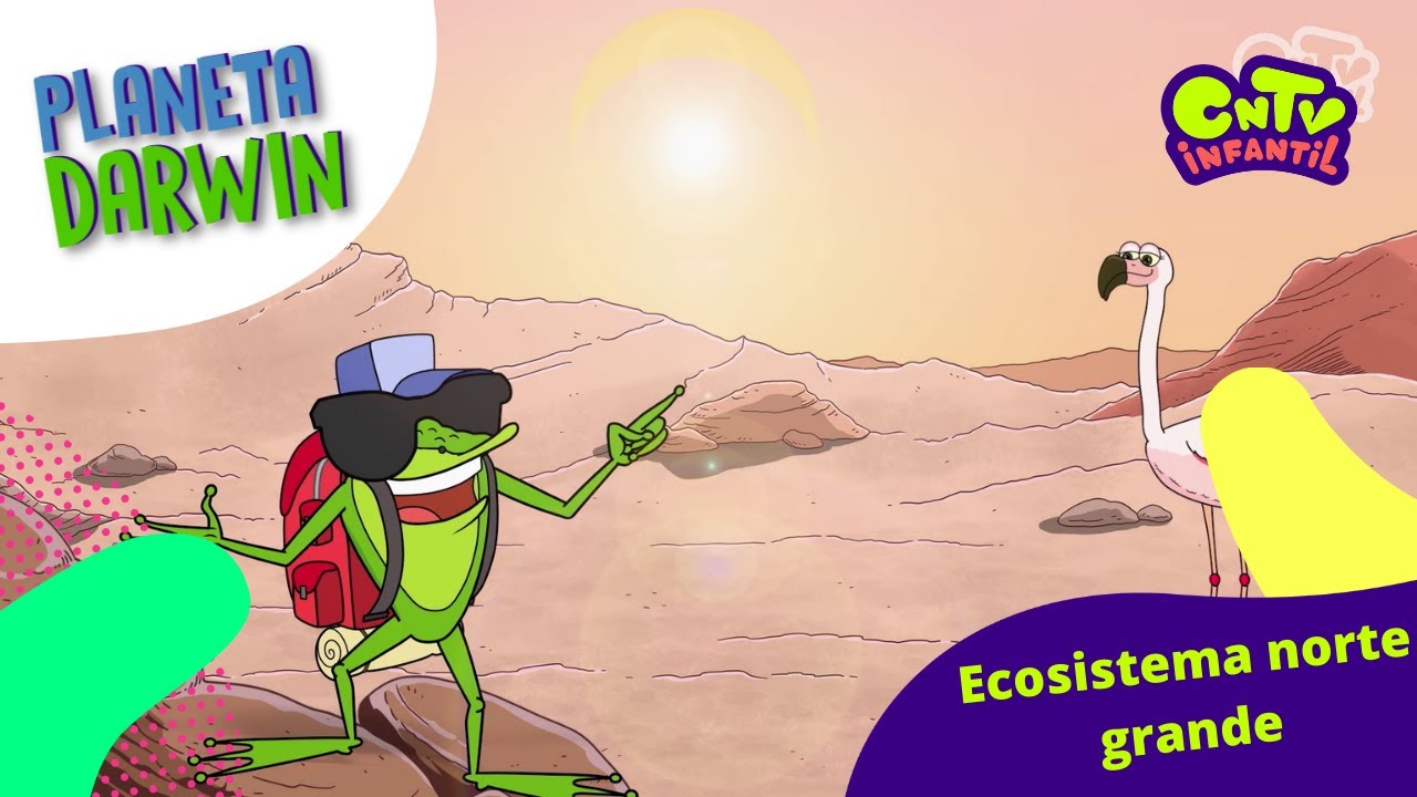 Ecosistema norte grande - Explicado para niños: Planeta Darwin