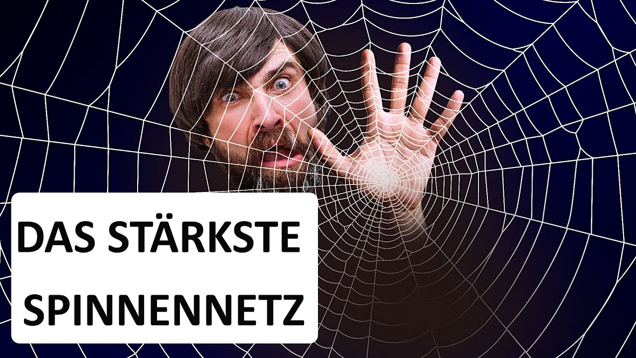 Was, wenn du in das gr&ouml;&szlig;te Spinnennetz der Welt ger&auml;tst