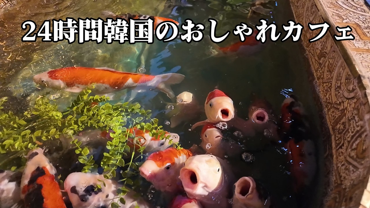 深夜にクッパ食べて24時間カフェへ。僕の動画で電車を乗り過ごしかけた男の話。| 韓国リアルVlog