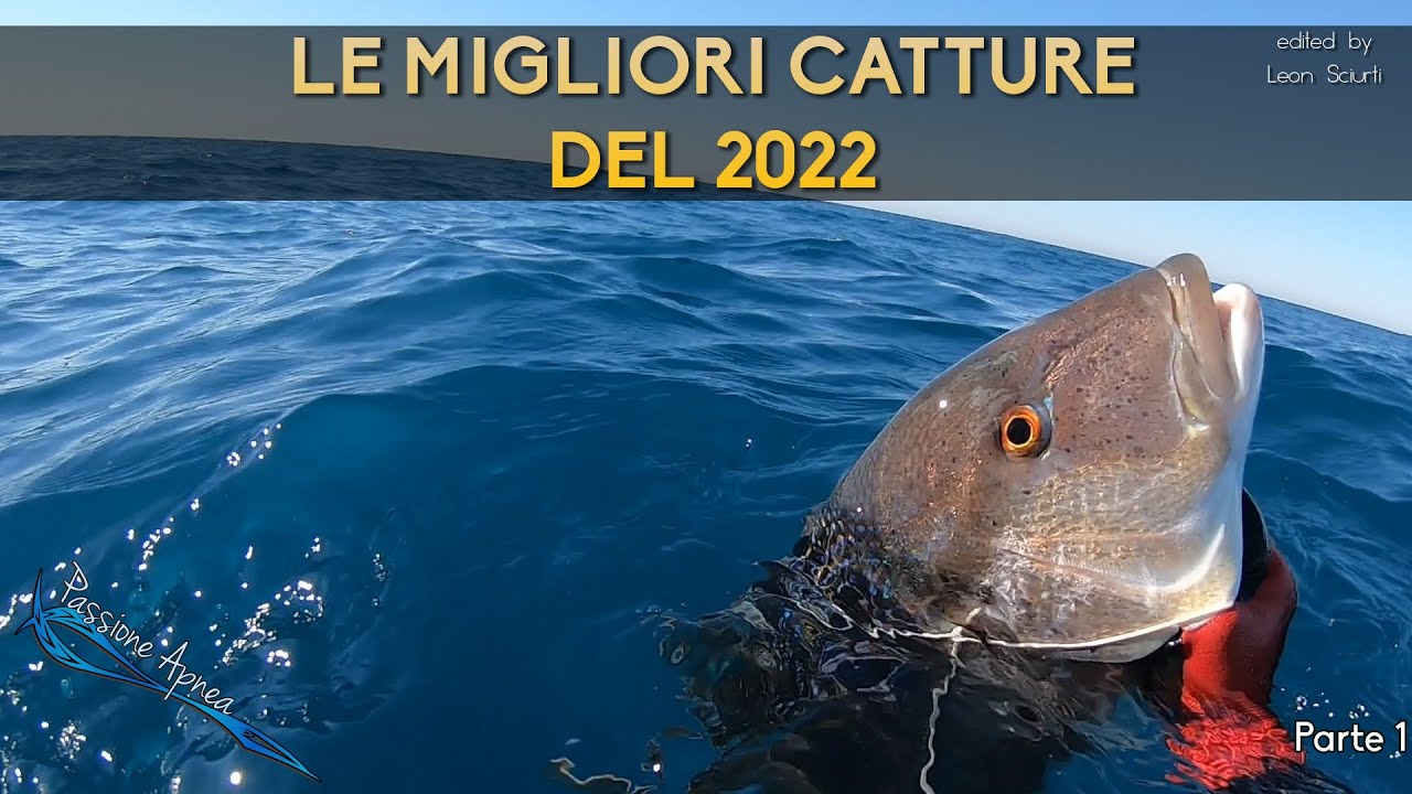LE MIGLIORI CATTURE DEL 2022 - PARTE 1 -
