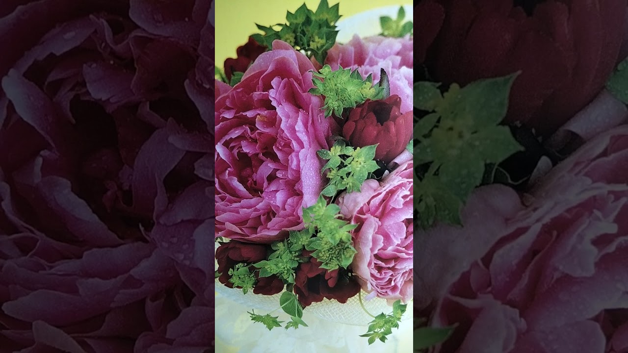 เพลงลีซอร้องคู่เพลงใหม่