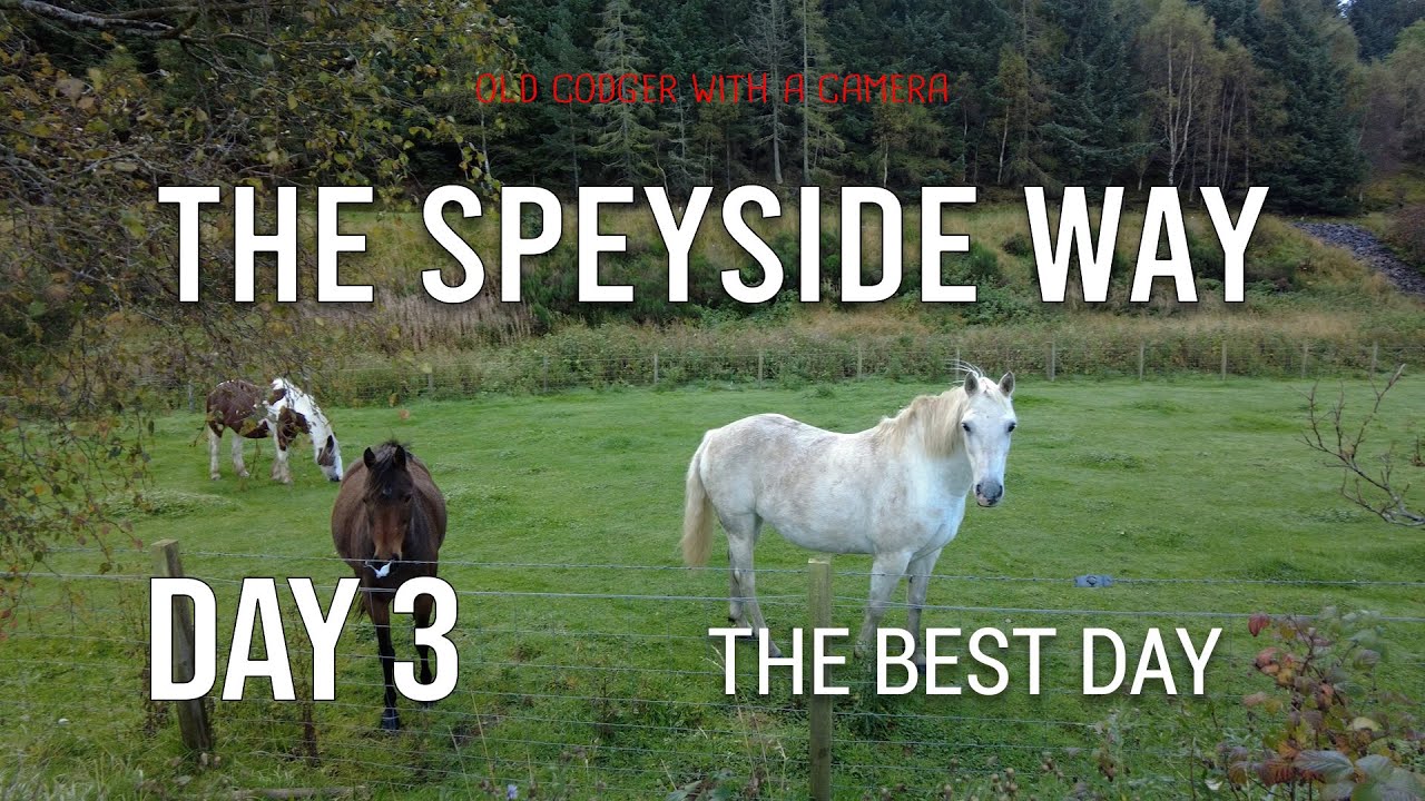 Walking the Speyside Way - Day 3 - Easily the best day so far