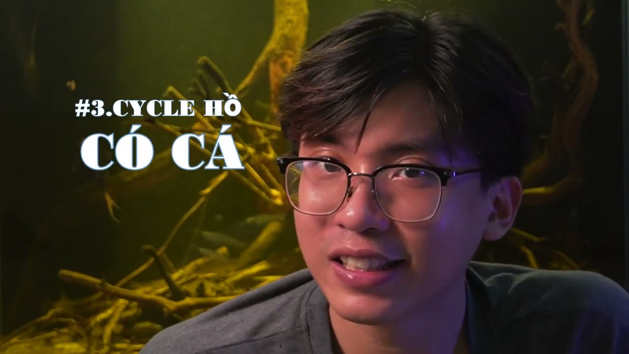 TRẢ LỜI CÁC CÂU HỎI CỦA CÁC BẠN THEO DÕI KÊNH #2: BỐN CÁCH CYCLING BỂ CÁ  BIOTOPE / BLACKWATER.