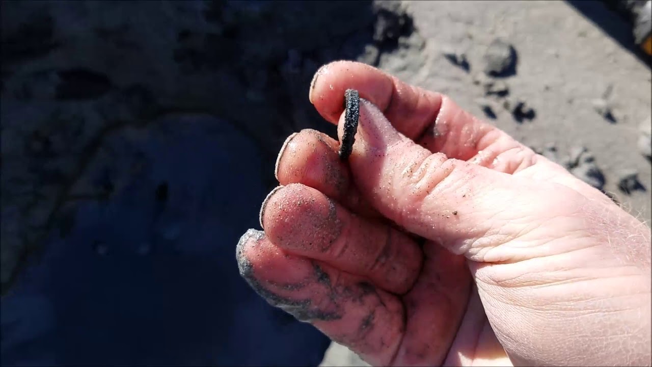 Tarsacci MDT 8000 Beach Hunt Number 2
