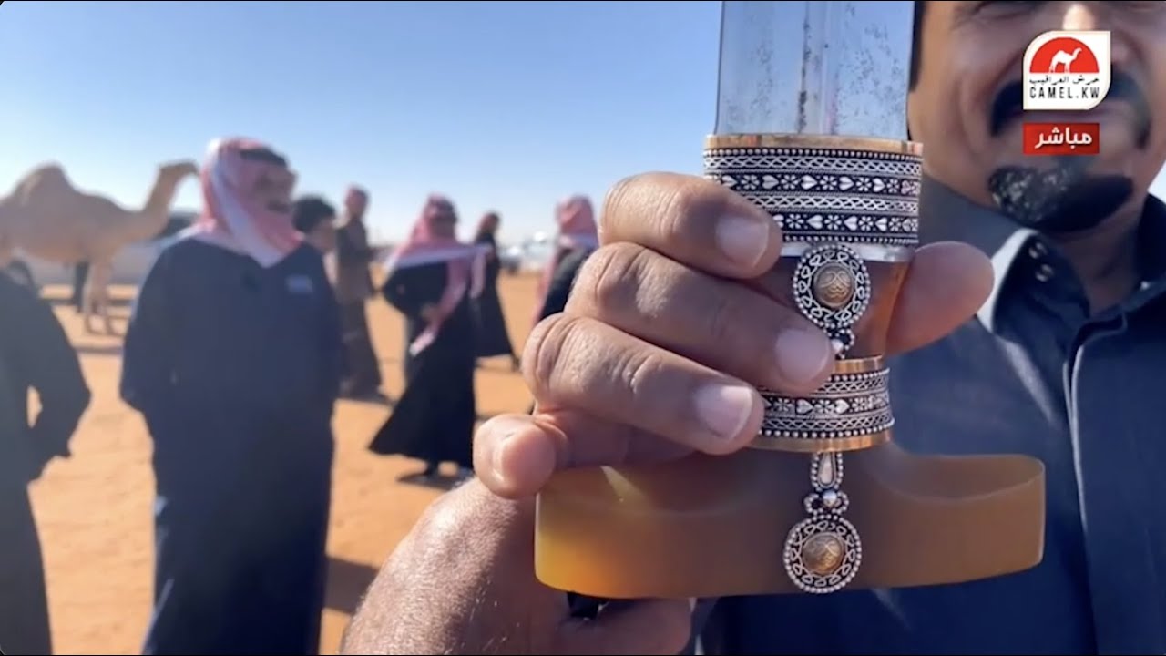 ناصر الحبابي يهدي مالك الإبل مشعل القحطاني جنبية ب ٥٠٠ ألف ريال