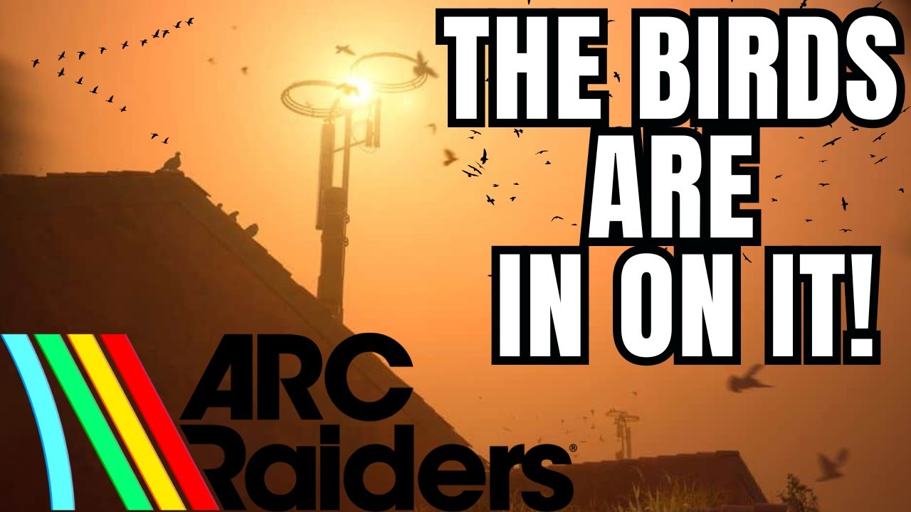 Я же говорил! Птицы работают на ARC | Город птиц ARC Raiders