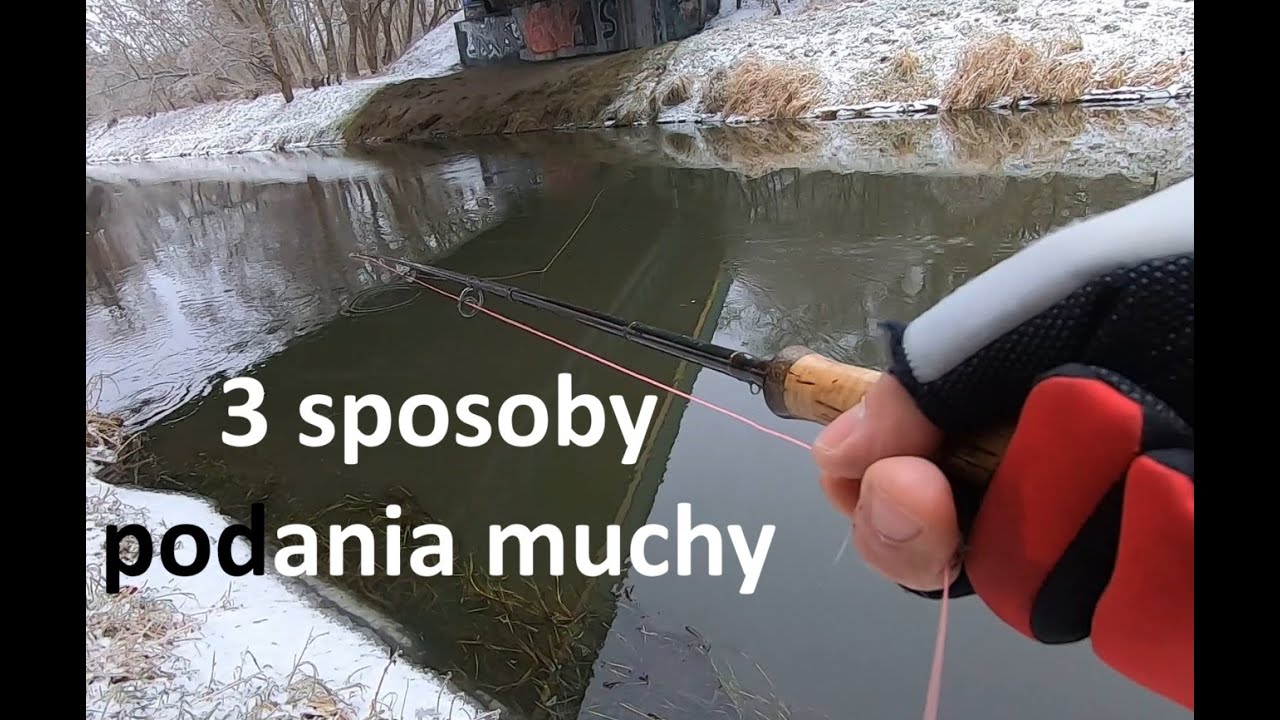 Jedno miejsce, trzy sposoby podania muchy.