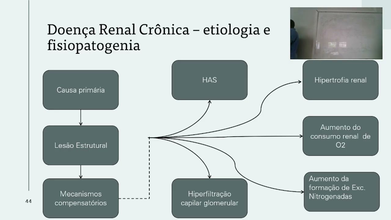 Doença Renal Crônica - Parte I