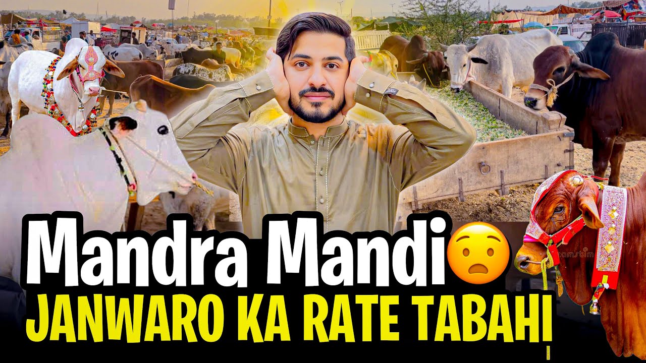 Mandra Mandi 😧| Janwaro ka Rate Tabahi