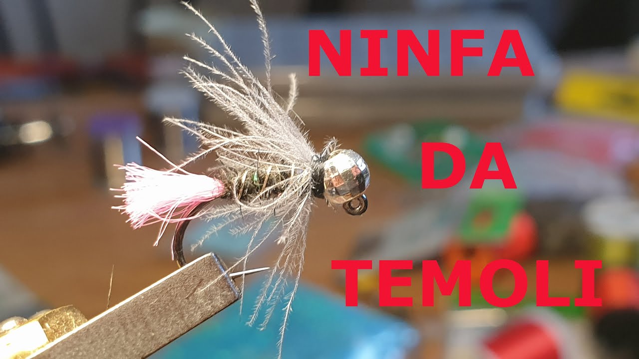Ninfa da temoli 😎