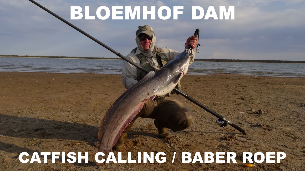 Bloemhof dam catfish/barbel calling (baber roep)