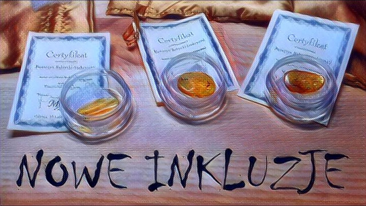 🐜 Nowe Inkluzje - Mr&oacute;wki w bursztynie [Sukcynit]