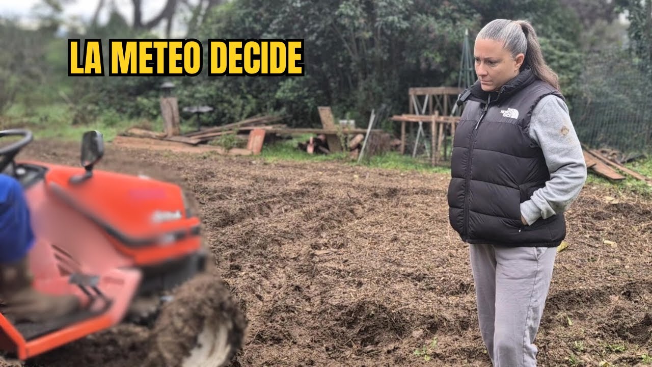 Labour total : je prépare le sol de mon potager 2.0 🌱