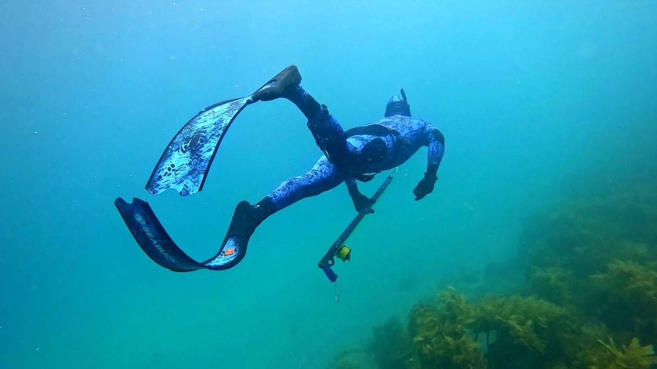 Spearfishing & Freediving Little Barrier Island New Zealand!