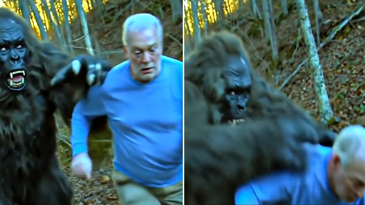 3 Días en una Cueva con una Criatura: BIGFOOT Raptó a un Hombre en el Parque Olympic!