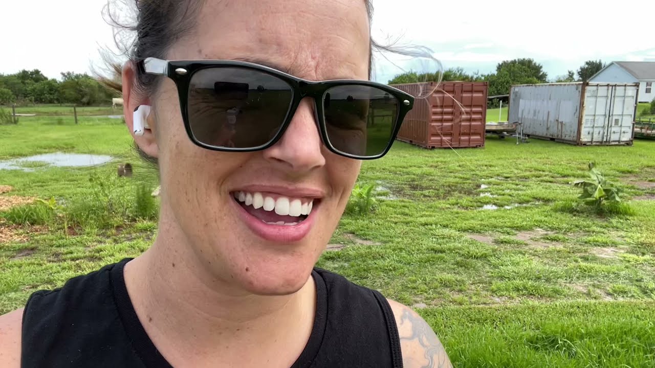 Morning after Hurricane Elsa, why plants are important.