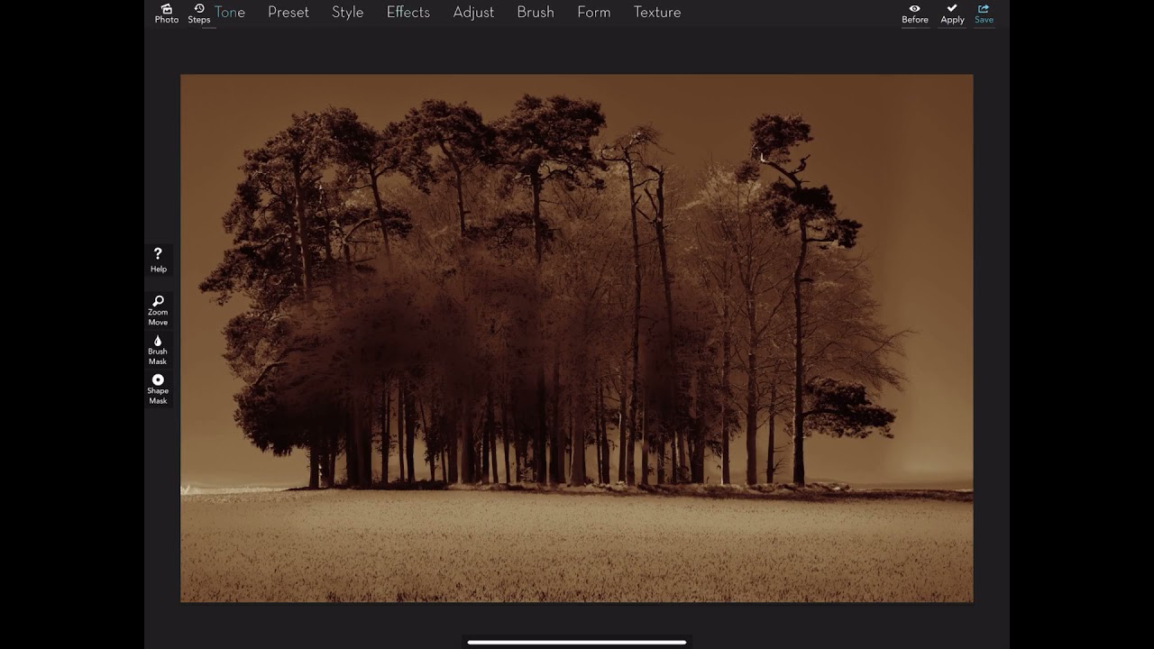 LANDSCAPE PHOTOGRAPHY ????